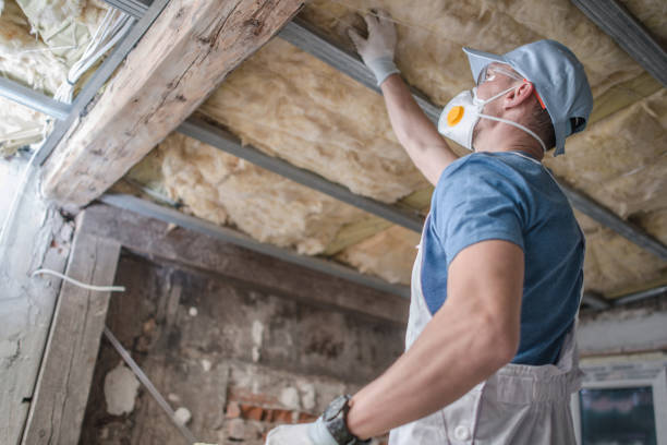 Best Commercial Insulation in Long Beach, MD