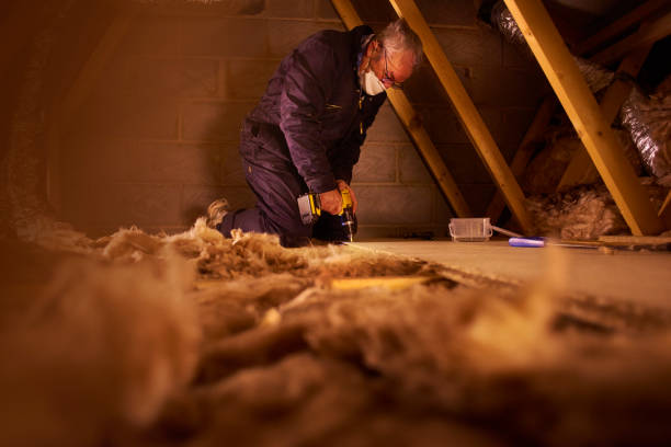 Best Types of Insulation in Long Beach, MD